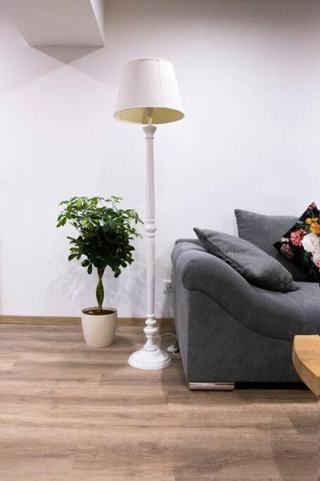Le Logis D'Alsace, Wifi,Tv,Parking,70 M2 Διαμέρισμα Ettendorf Εξωτερικό φωτογραφία